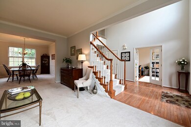 6029 Toomey Ln, Elkridge, MD 21075 - photo 4