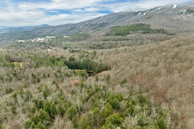 Lot 7 Rod and Gun Club Rd, Ludlow, VT 05149 - photo 7