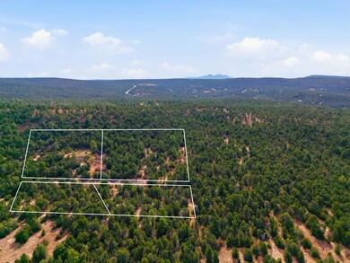 10 Hayner Ct, Tijeras, NM 87059 - photo 4