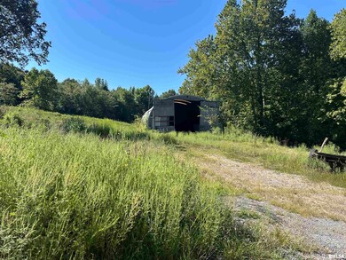 1010 Woods Rd, Stokes Precinct, IL 62912 - photo 6