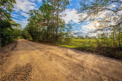 284 Barrett Rd, Sparks, GA 31647 - photo 7