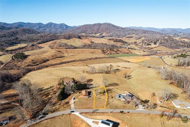 TBD Old Newfound Rd, Leicester, NC 28748 - photo 6