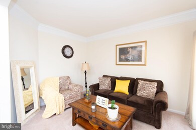 403 Caribbean Ave, Cambridge, MD 21613 - photo 6