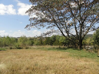 Pasture