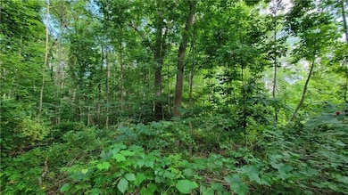 00 Dana Shores Dr, Honeoye, NY 14471 - photo 3