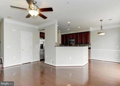 2525 Pascal Place unit 195, Herndon, VA 20171 - photo 3