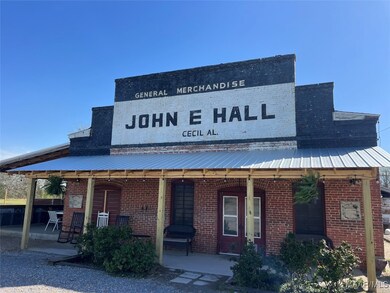 0 Barganier Rd unit 572423, Cecil, AL 36013 - photo 5