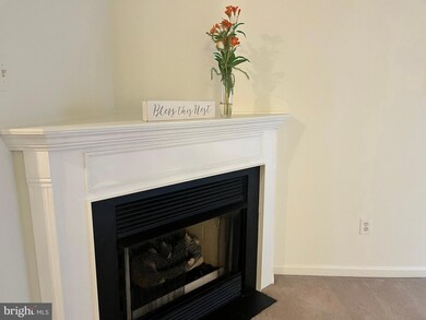 3704 Excalibur Ct unit 302, Bowie, MD 20716 - photo 3