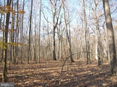 20608 Stone Fox Ct, Leesburg, VA 20175 - photo 2