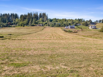 DJI_0061