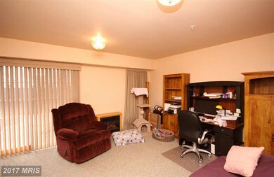 5706 Goldfinch Ct, Ellicott City, MD 21043 - photo 5