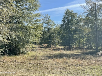 14119 US Highway 98, Lucedale, MS 39452 - photo 6