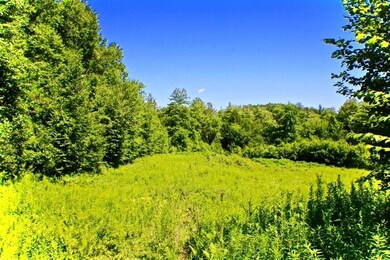 0 Crowningshield Rd unit 1 4819621, Chesterfield, NH 03443 - photo 3