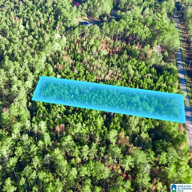 Tract 2B County Road 329, Wedowee, AL 36278 - photo 3