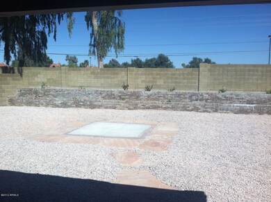 back yard