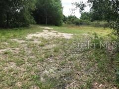 19480 & 19428 NW 304th St, Okeechobee, FL 34972 - photo 3