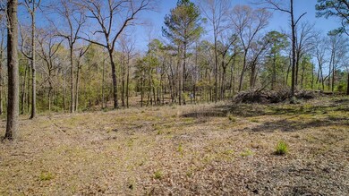 TBD Deer Pond Rd, Lufkin, TX 75904 - photo 6