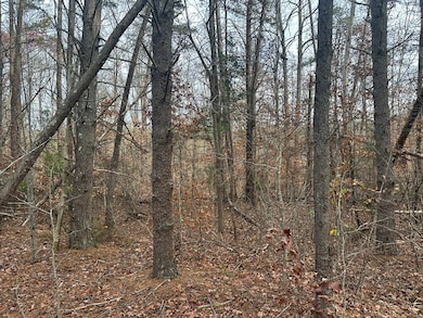 4.1 Acs Leda Rd, Nathalie, VA 24577 - photo 3