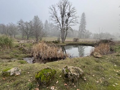 IMG_2374