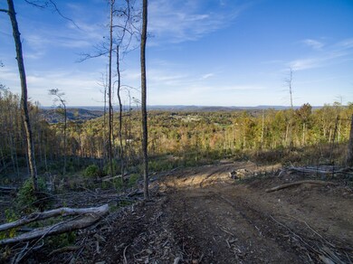 unlisted-address, Cookeville, TN 38506 - photo 6