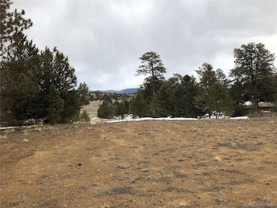 133 Joyce Ln, Hartsel, CO 80449 - photo 7