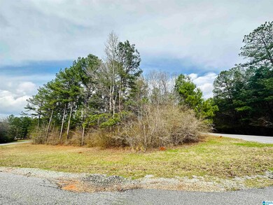 000 Wildberry Ln unit 13, Sylacauga, AL 35151 - photo 7