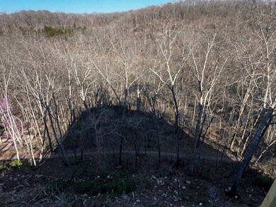 1706 NW Molokai Ln, Bentonville, AR 72712 - photo 6