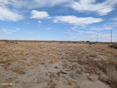 0 Vac Vic 60th St E and Avenue J unit 25006614, Lancaster, CA 93535 - photo 2