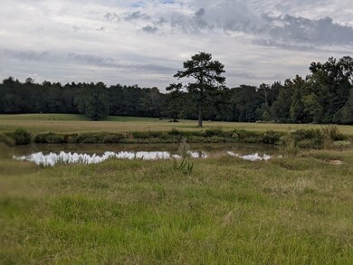 000 Conerly Dr, McComb, MS 39648 - photo 6