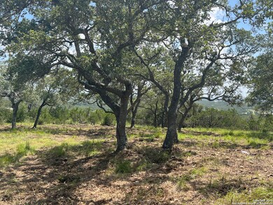 189 Cordillera Ridge, Boerne, TX 78006 - photo 7