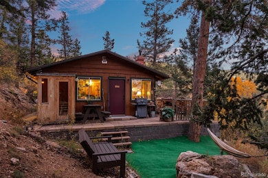 31327 Kings Valley W, Conifer, CO 80433 - photo 5