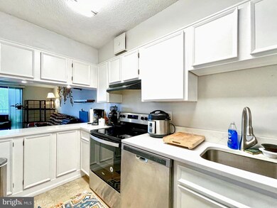 5901 Mount Eagle Dr unit 317, Alexandria, VA 22303 - photo 5