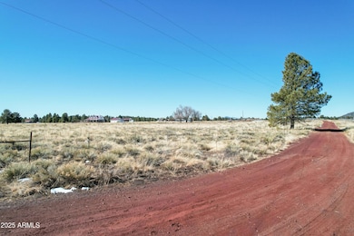 Rabbitbrush Rd