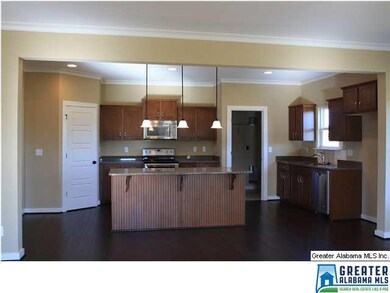 Granite counter tops, stainless appliances and pen