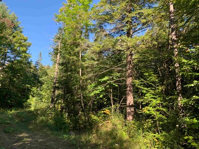 00 High Meadows Rd unit 20, Burke, VT 05832 - photo 6