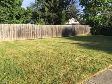 Back yard and privacy fence