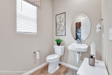 9253 Players Dr, Weeki Wachee, FL 34613 - photo 3