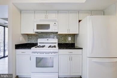 2061 Royal Fern Ct unit 21C, Reston, VA 20191 - photo 5