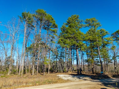 Lot C Malberg Rd, Cabool, MO 65689 - photo 5