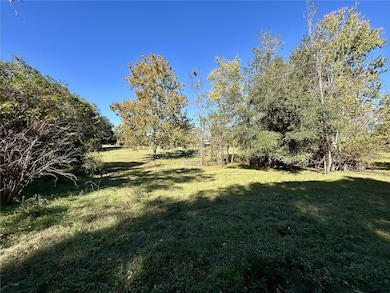 Back corner of Property