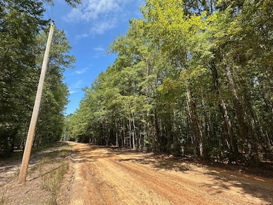 1 Railroad Ln, Pinola, MS 39149 - photo 2