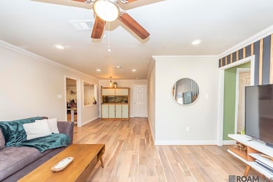 2120 S Woodcrest St, Denham Springs, LA 70726 - photo 4