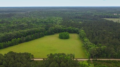 Hayne HallSC Land for Sale-04