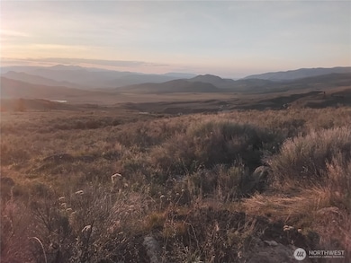 0 Paradise Point Rd unit NWM2455797, Tonasket, WA 98855 - photo 4