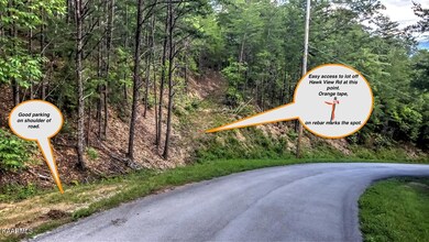 Lot 12 - Access Point