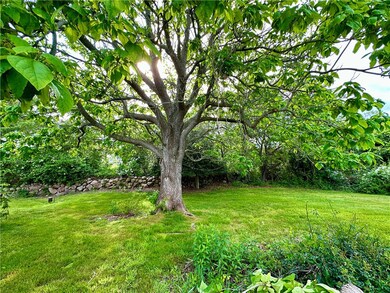 Mature Trees