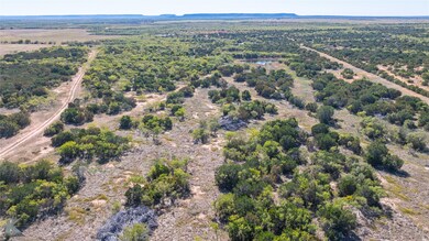 Lot 3 County Road 205, Ovalo, TX 79541 - photo 7
