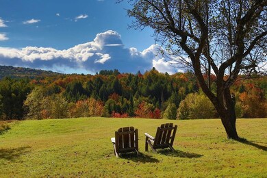 2930 Cote Hill Rd, Morrisville, VT 05661 - photo 4