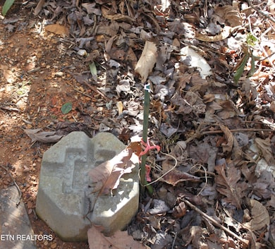 299 Harmony Way, Cosby, TN 37722 - photo 3