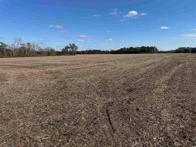 TBD Shelley Ln, Nichols, SC 29581 - photo 6